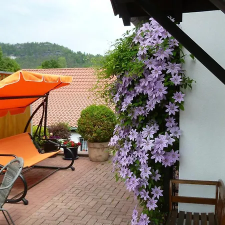 Apartament Frenzel Kurort Gohrisch